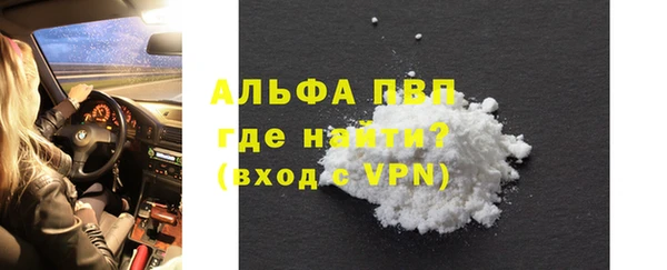 амф Белая Холуница