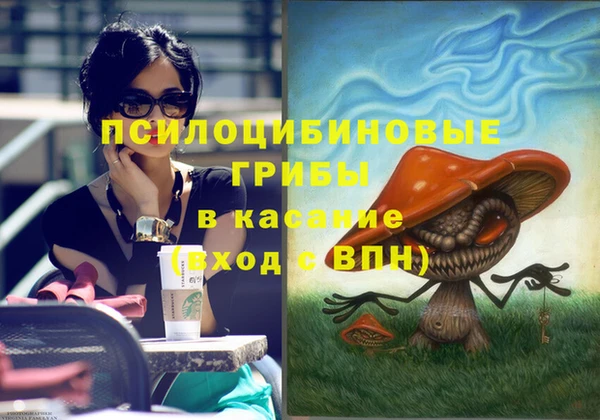 винт Абинск