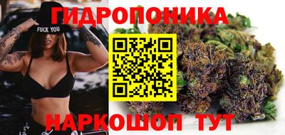 СК Можга